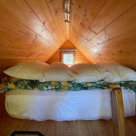 Studio Or Cabin On Whitby 넬슨 외부 사진