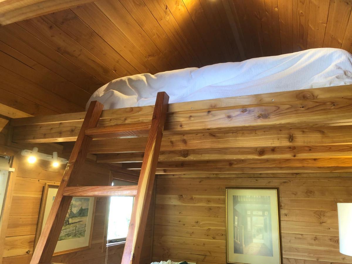 Studio Or Cabin On Whitby 넬슨 외부 사진